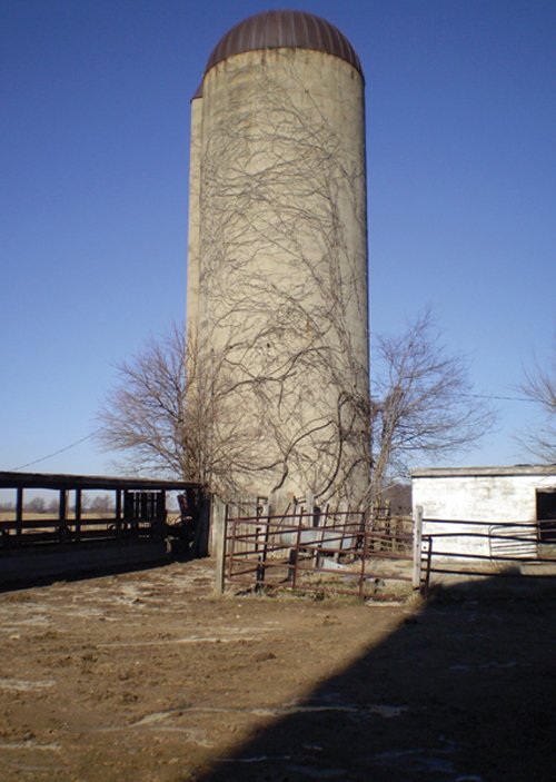 Property photo 21 - 159 Acres Offered in 7 Tracts